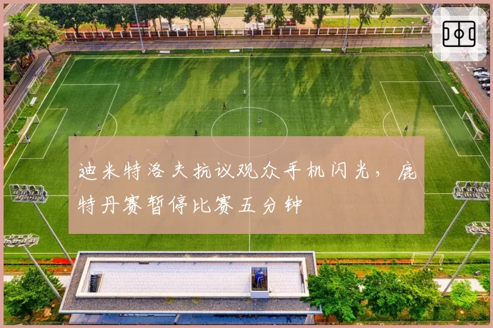 迪米特洛夫抗议观众手机闪光，鹿特丹赛暂停比赛五分钟